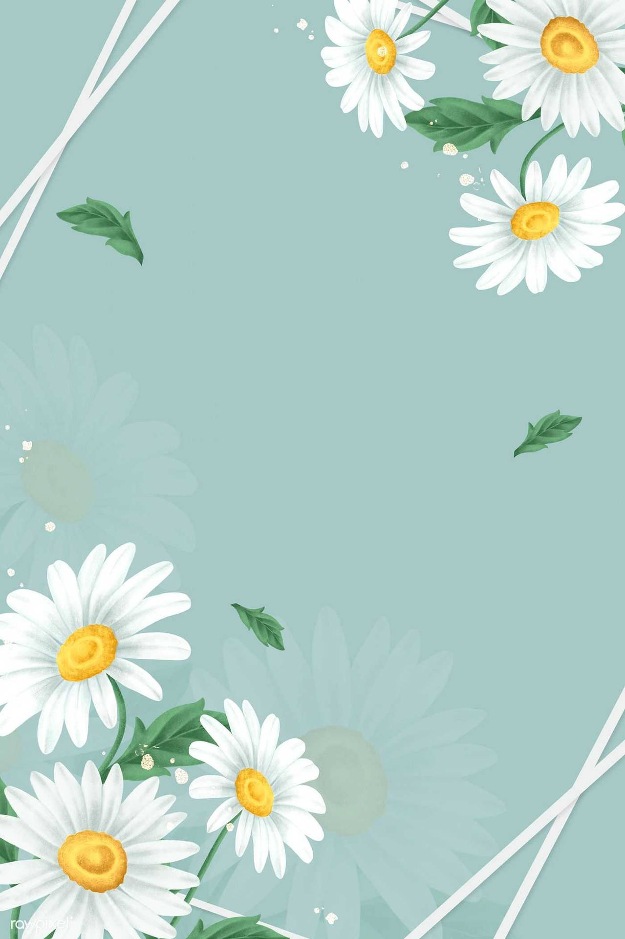 1400X2101 Daisy Wallpaper and Background