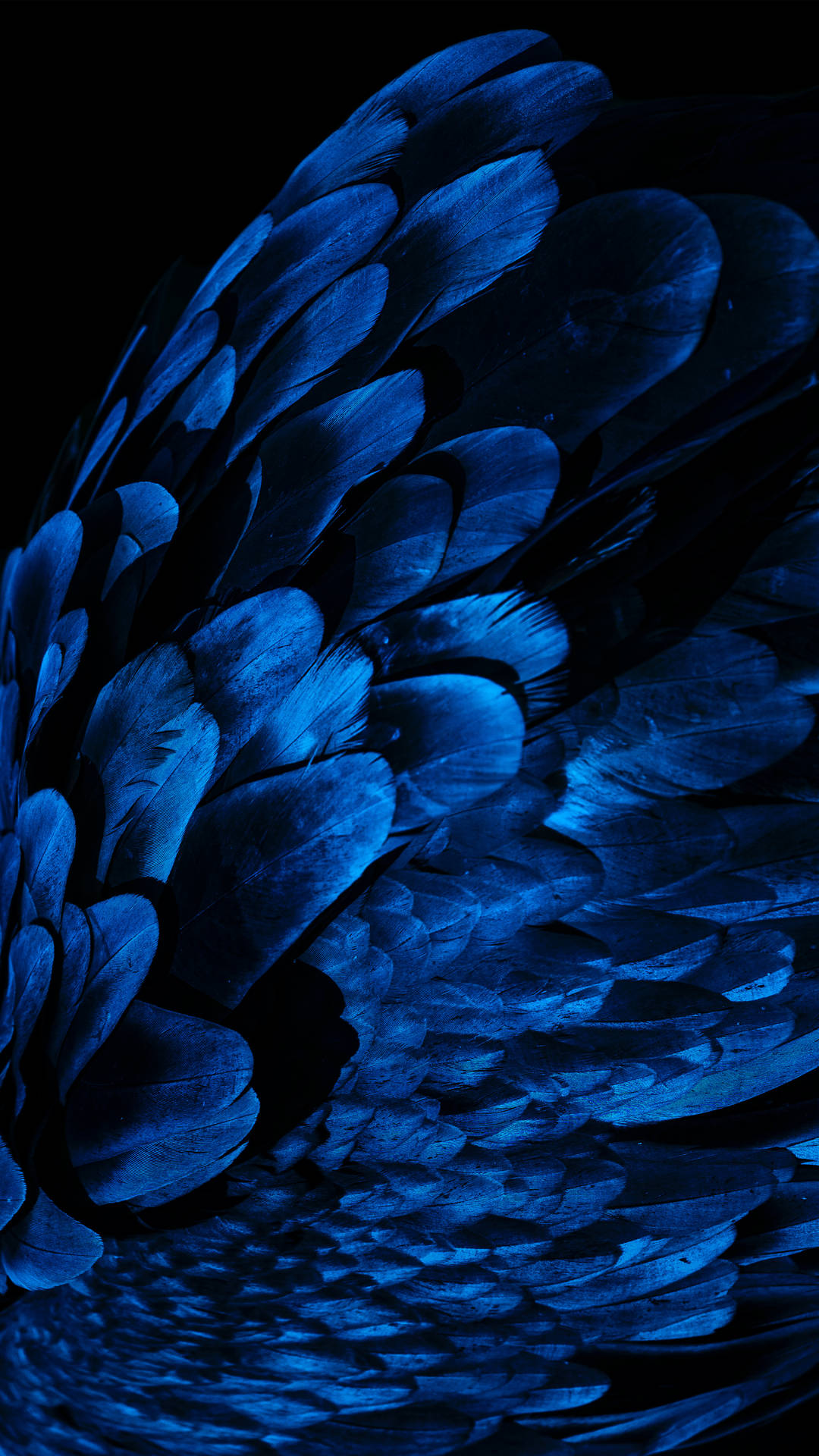Dark Blue 4061X7221 Wallpaper and Background Image