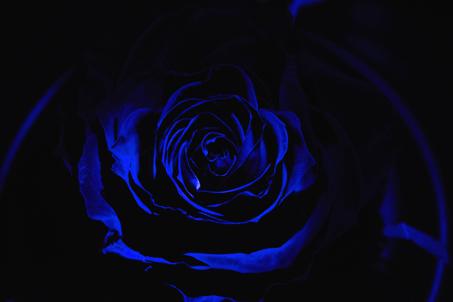 Dark Blue 6000X4000 Wallpaper and Background Image