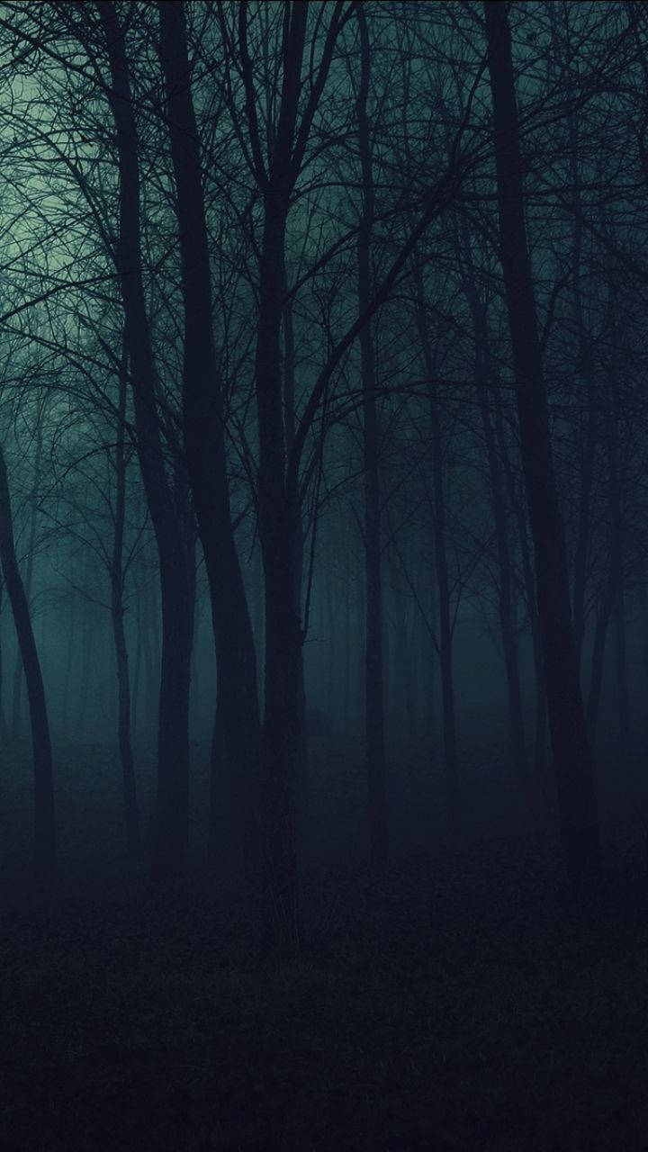 Dark Forest 720X1280 Wallpaper and Background Image