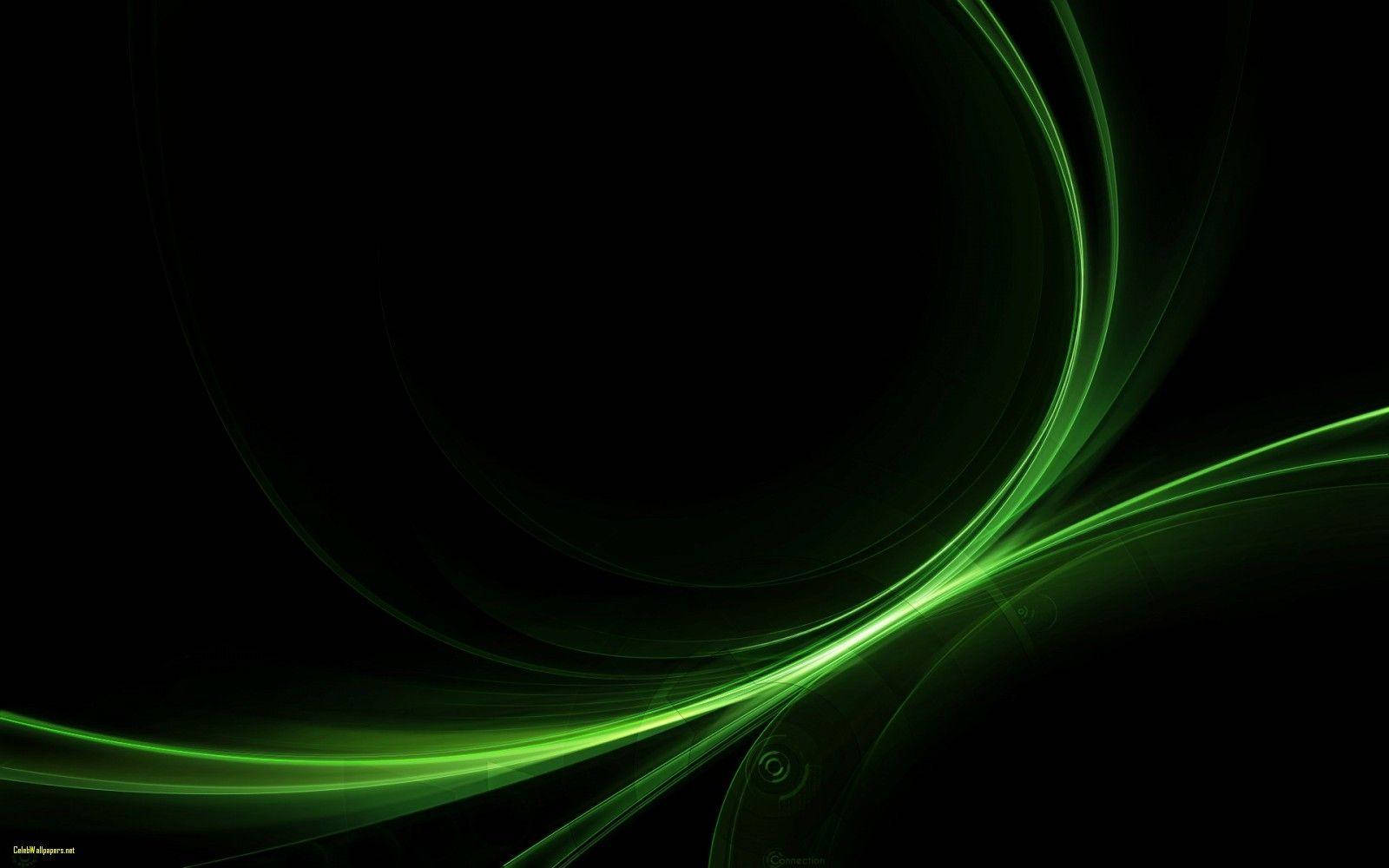 Dark Green 1600X1000 Wallpaper and Background Image