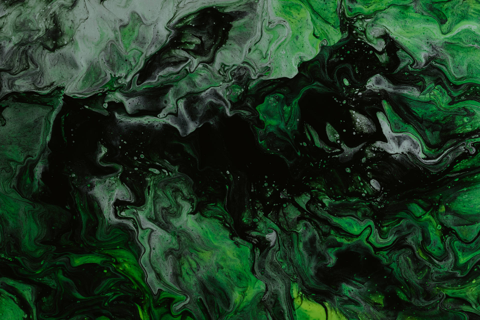 6000X4000 Dark Green Wallpaper and Background