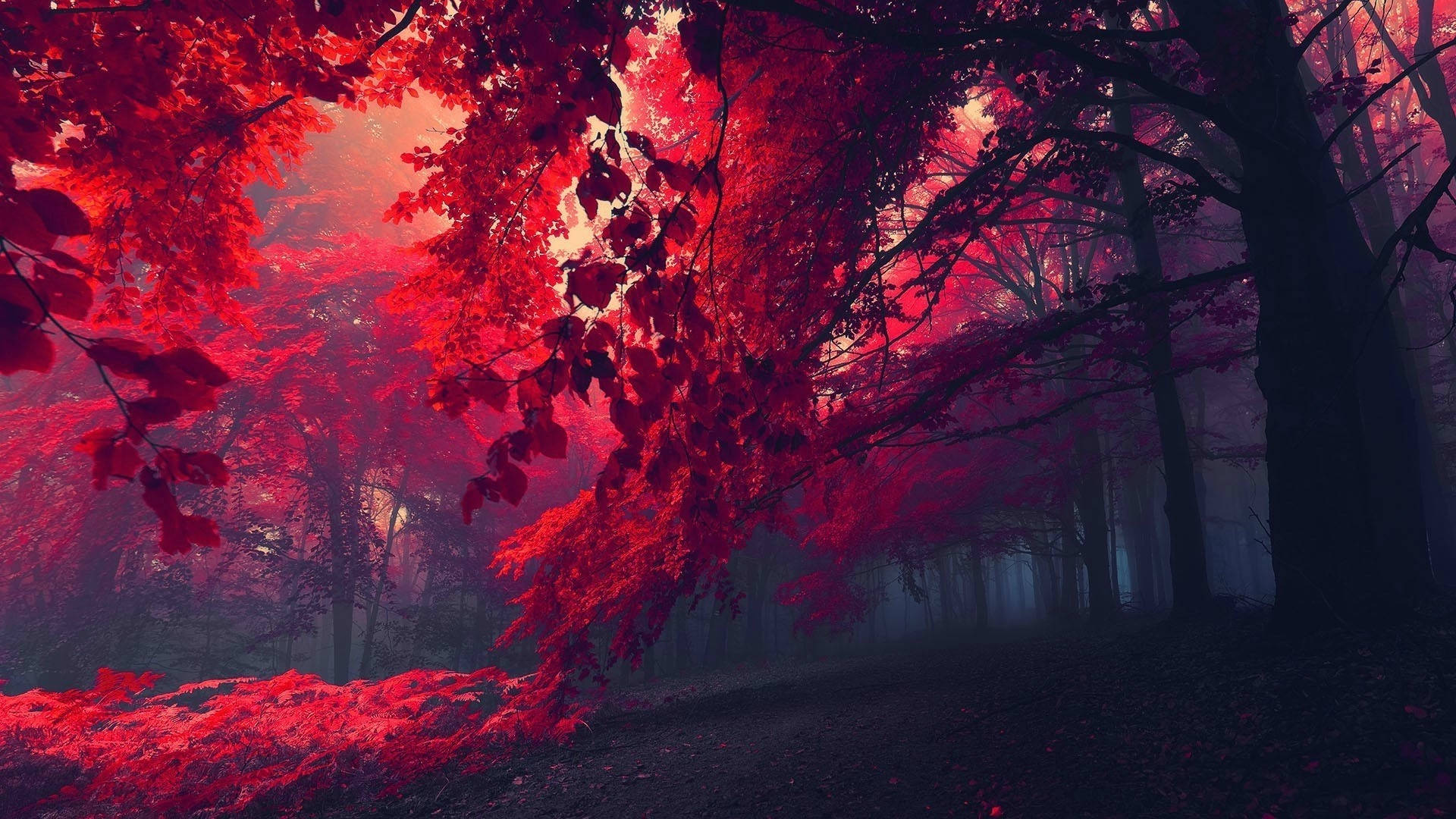 1920X1080 Dark Red Wallpaper and Background