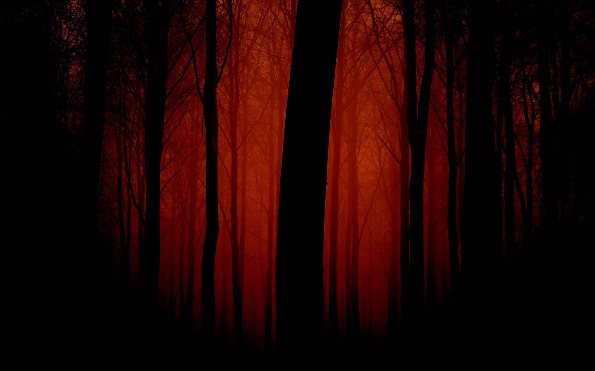 Dark Red 2560X1600 Wallpaper and Background Image