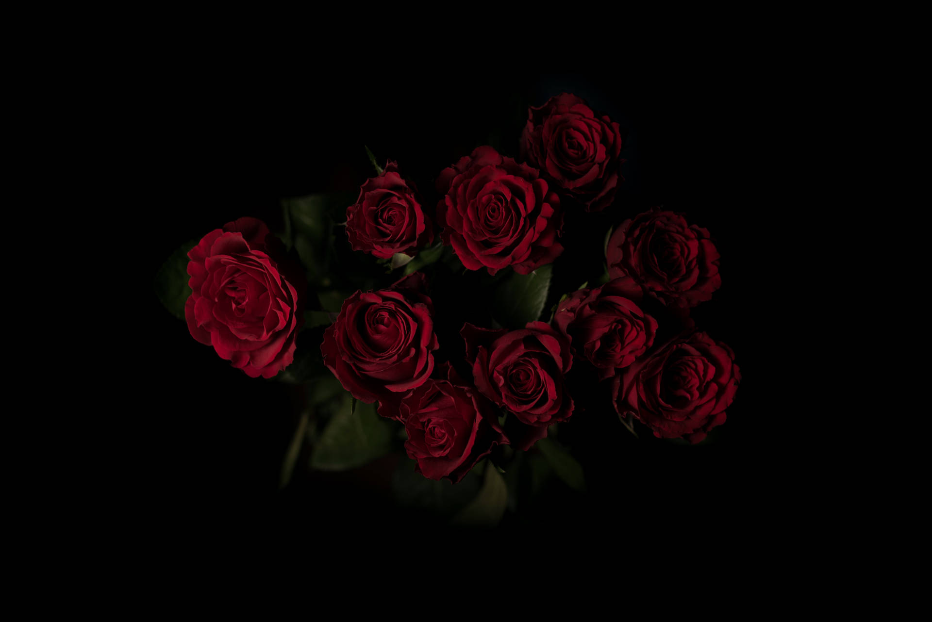 Dark Red 6016X4016 Wallpaper and Background Image