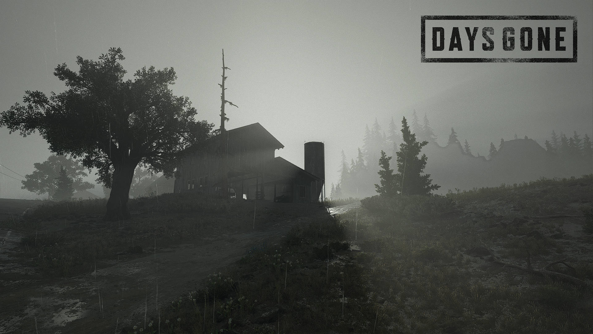 Days Gone 1920X1080 Wallpaper and Background Image