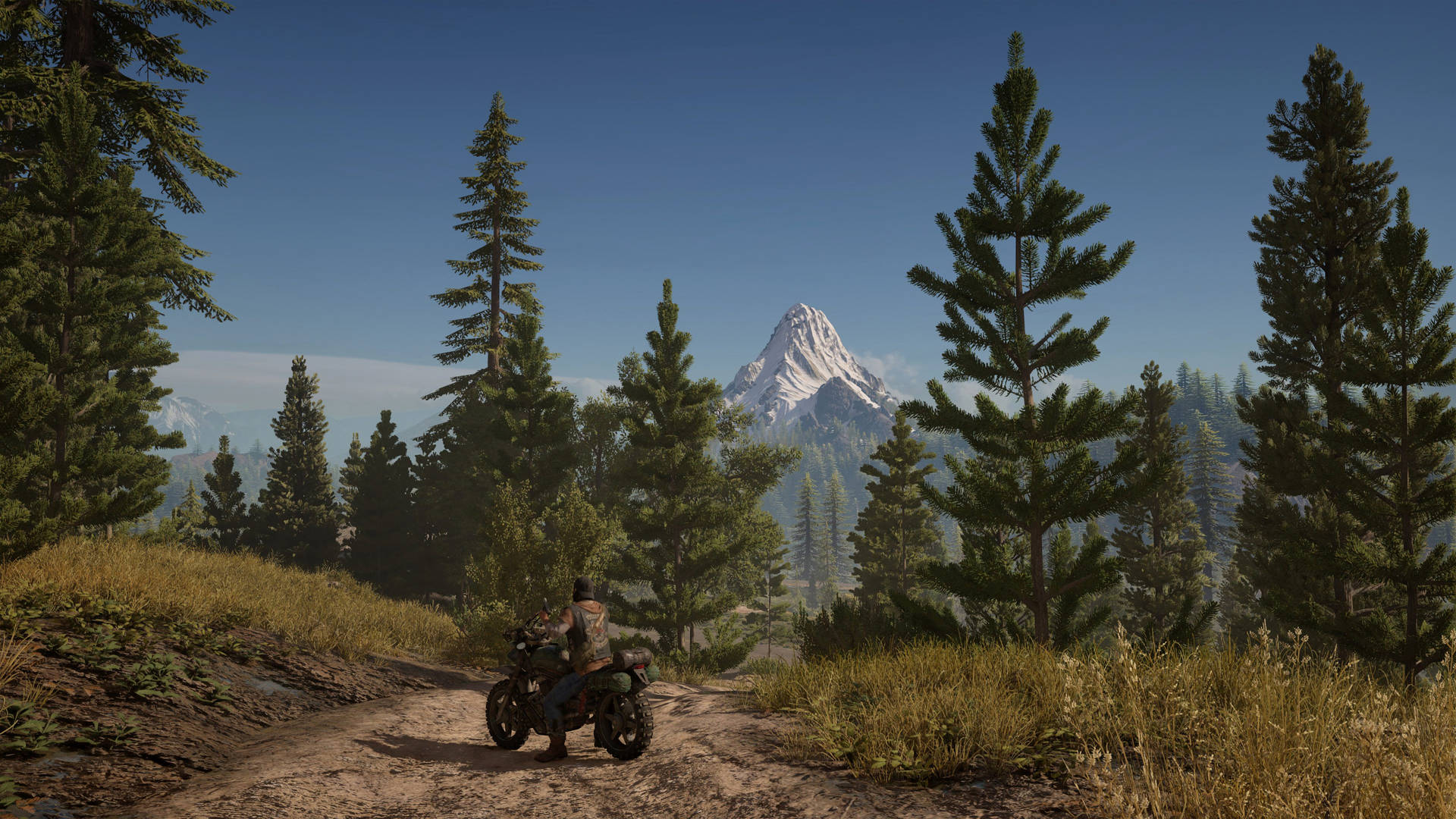 Days Gone 2880X1620 Wallpaper and Background Image