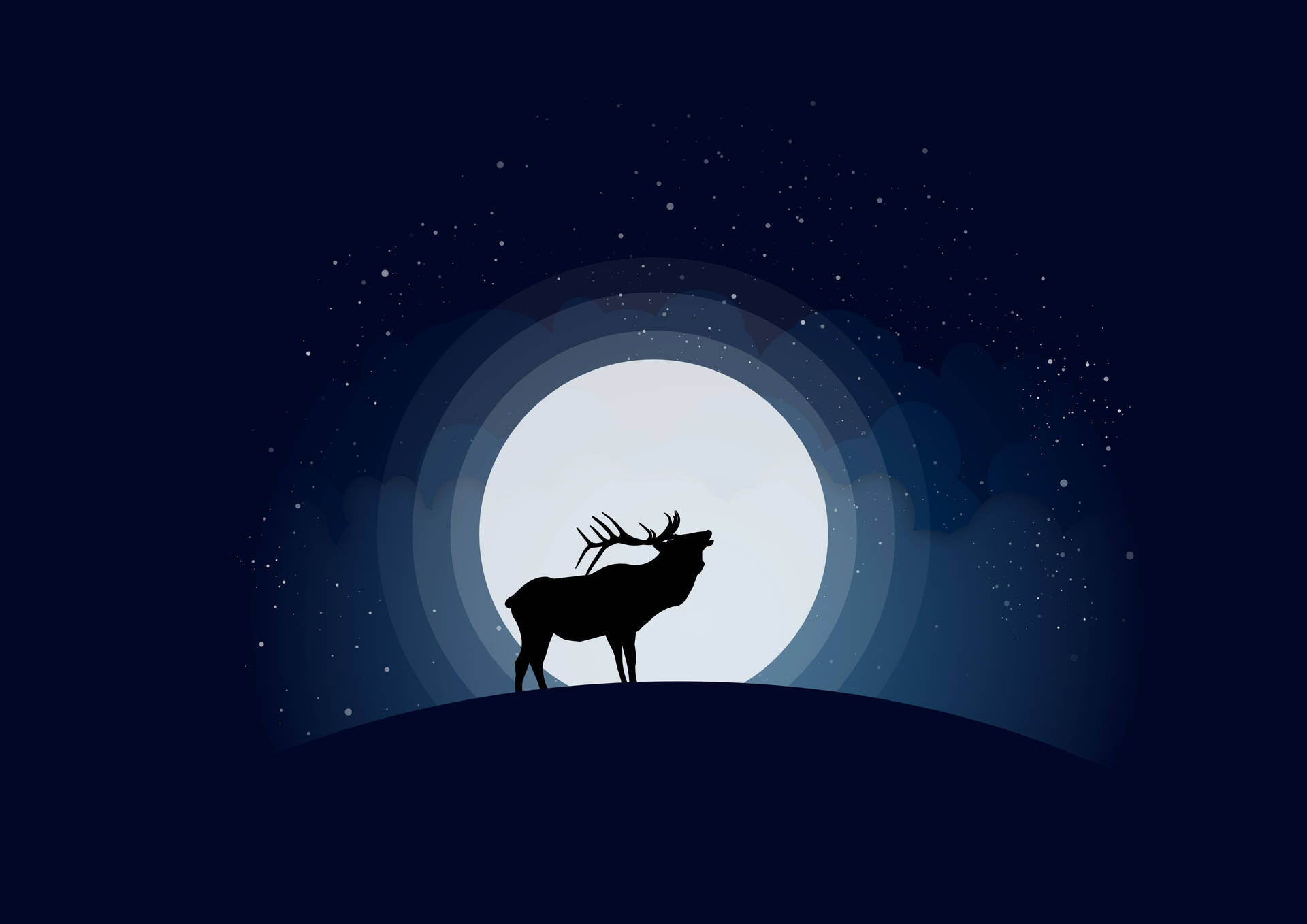 3507X2480 Deer Wallpaper and Background