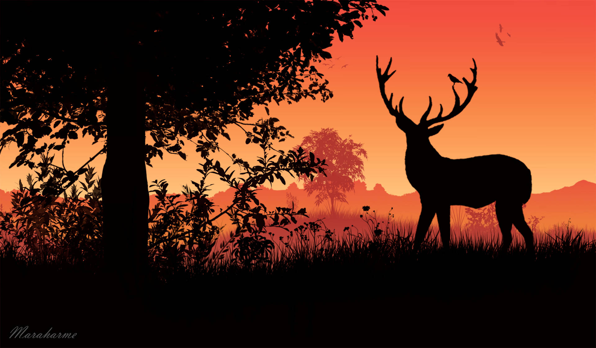 3840X2246 Deer Wallpaper and Background