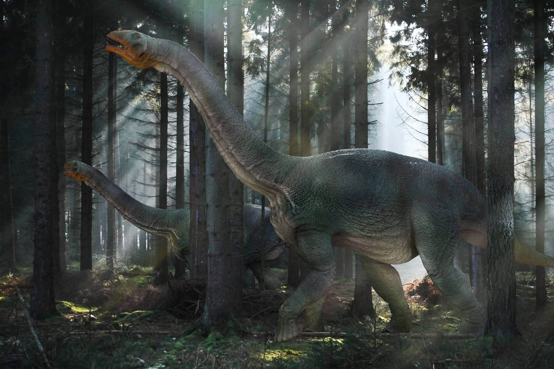 Dinosaur 1944X1296 Wallpaper and Background Image