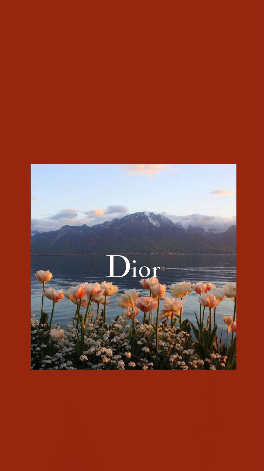 Dior 1010X1800 Wallpaper and Background Image