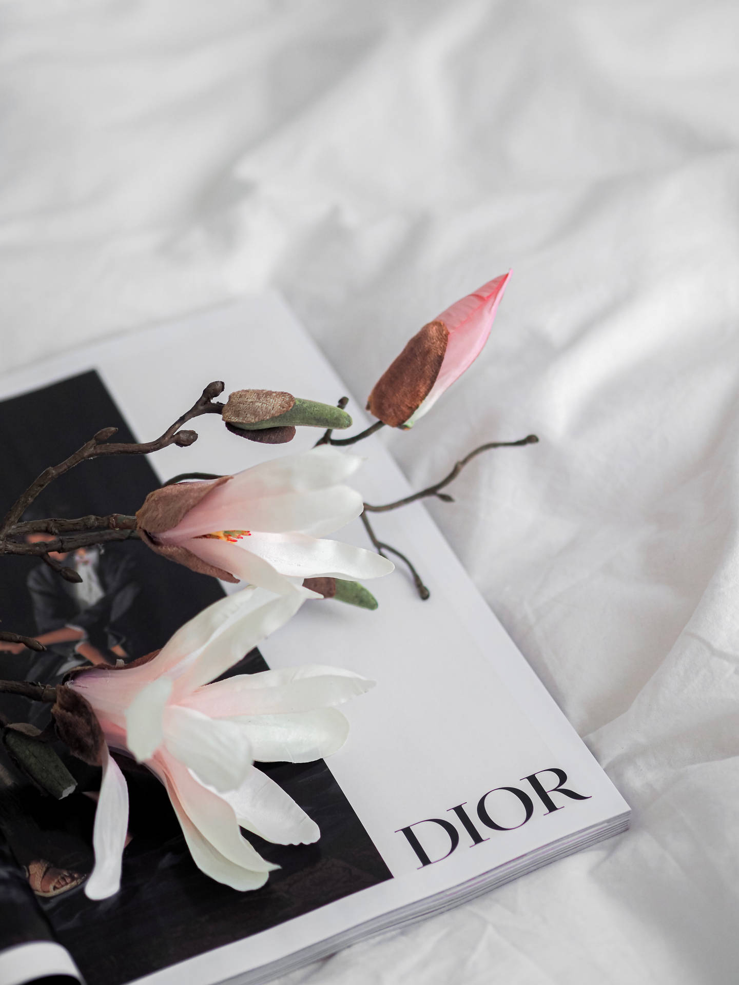 Dior 3456X4608 Wallpaper and Background Image