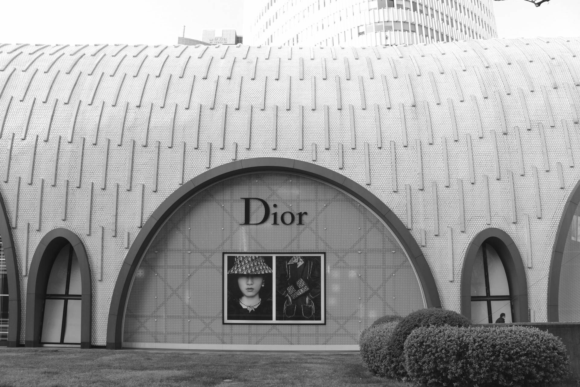 Dior 5184X3456 Wallpaper and Background Image