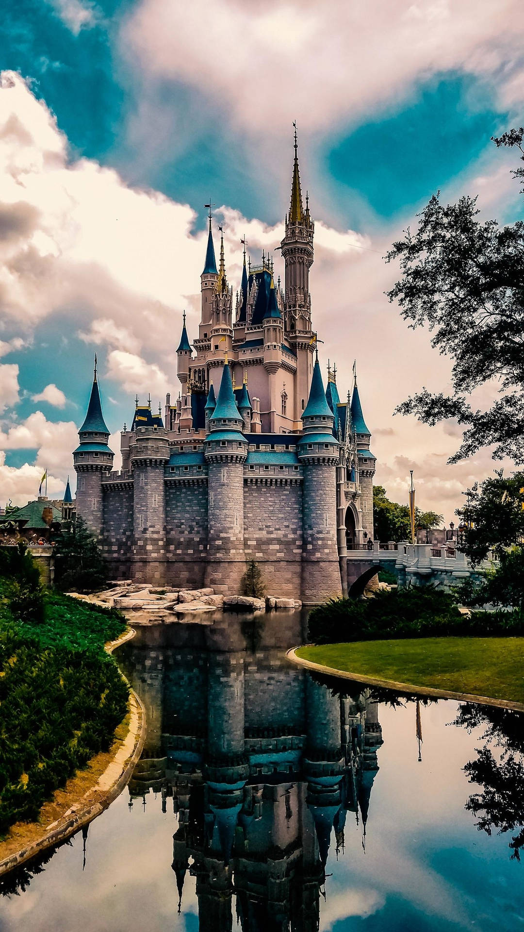 1440X2560 Disney World Wallpaper and Background