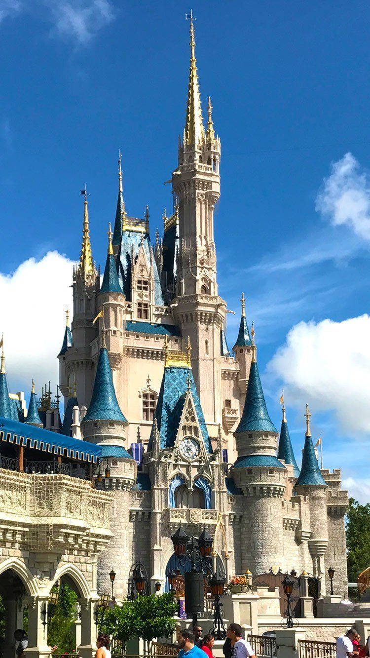 Disney World 750X1333 Wallpaper and Background Image
