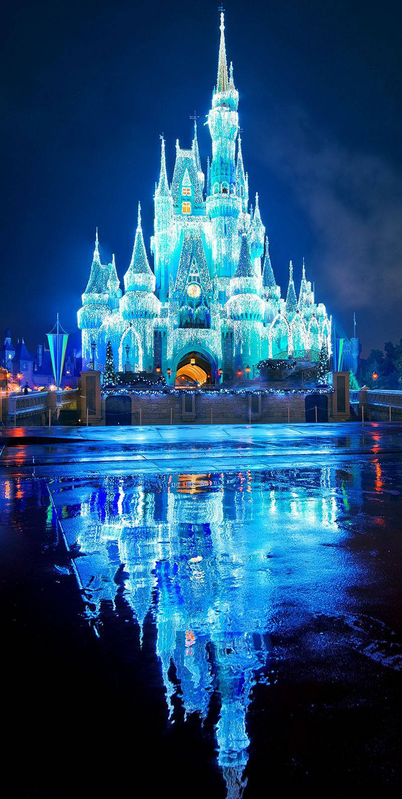 800X1590 Disney World Wallpaper and Background