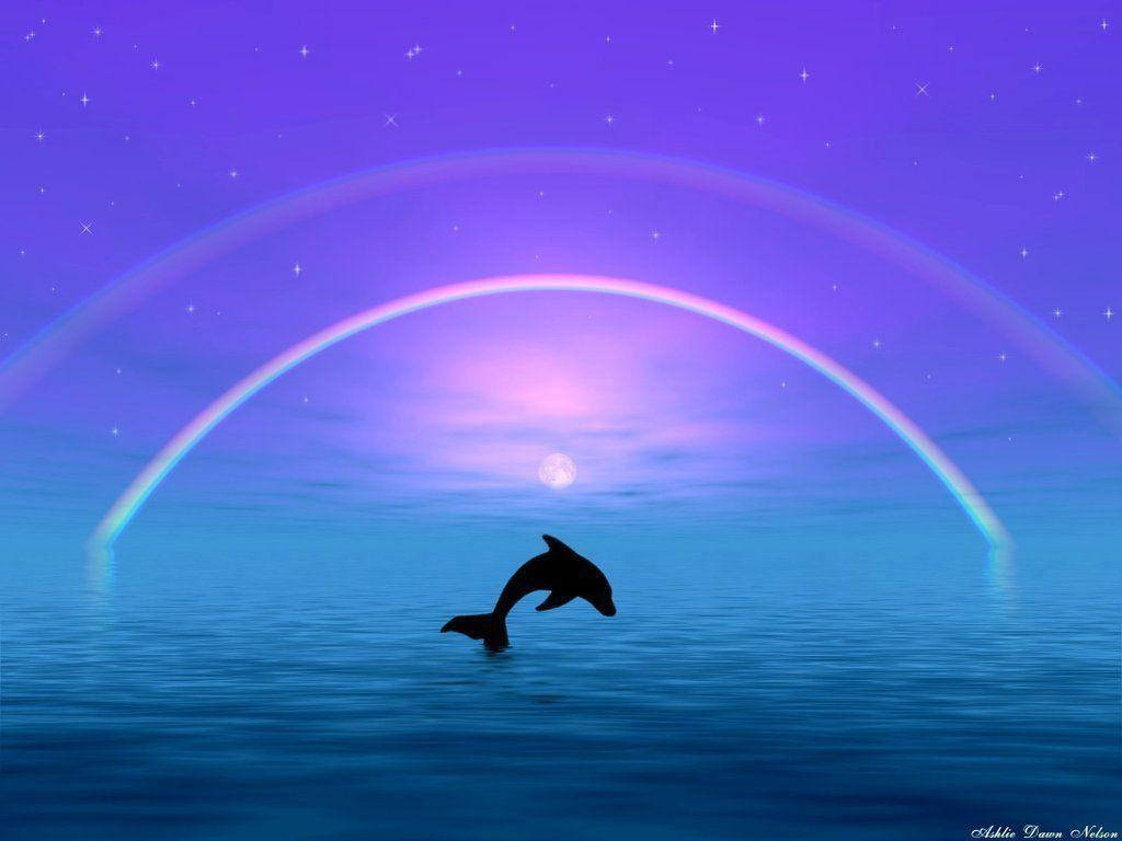 1024X768 Dolphin Wallpaper and Background