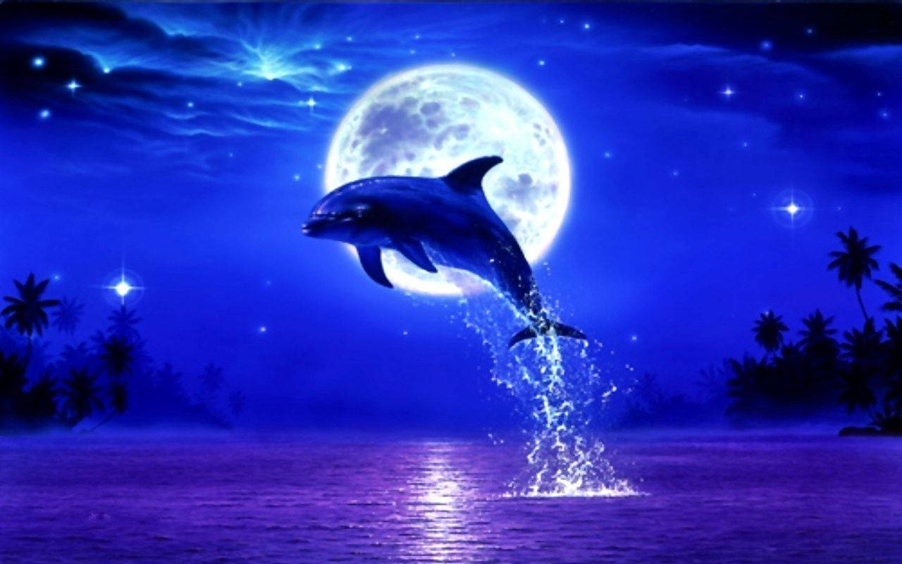 Dolphin 1280X800 Wallpaper and Background Image