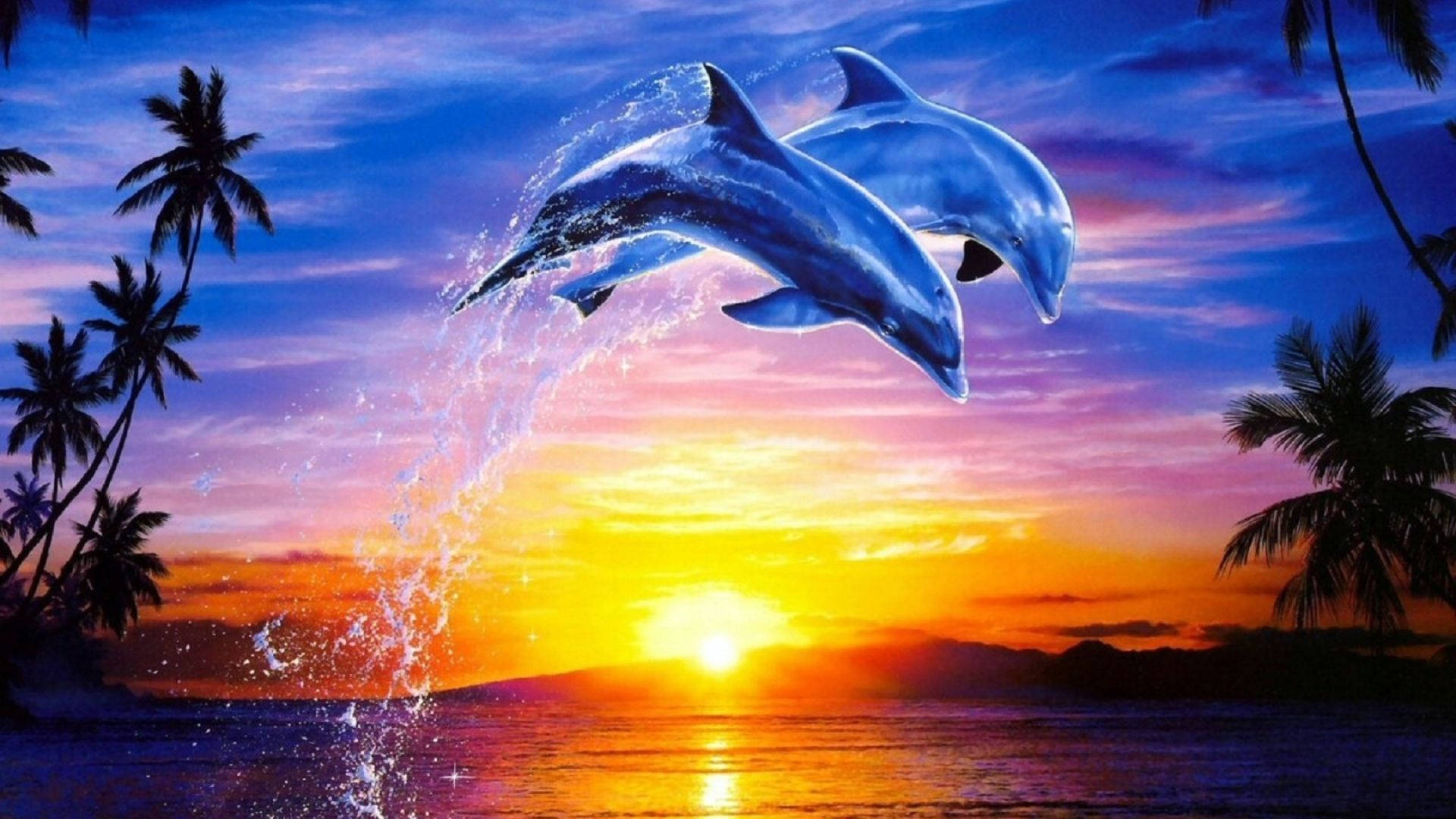 Dolphin 1920X1080 Wallpaper and Background Image