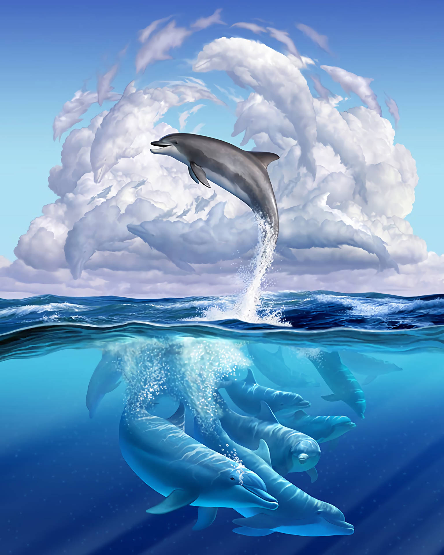 Dolphin 2536X3168 wallpaper