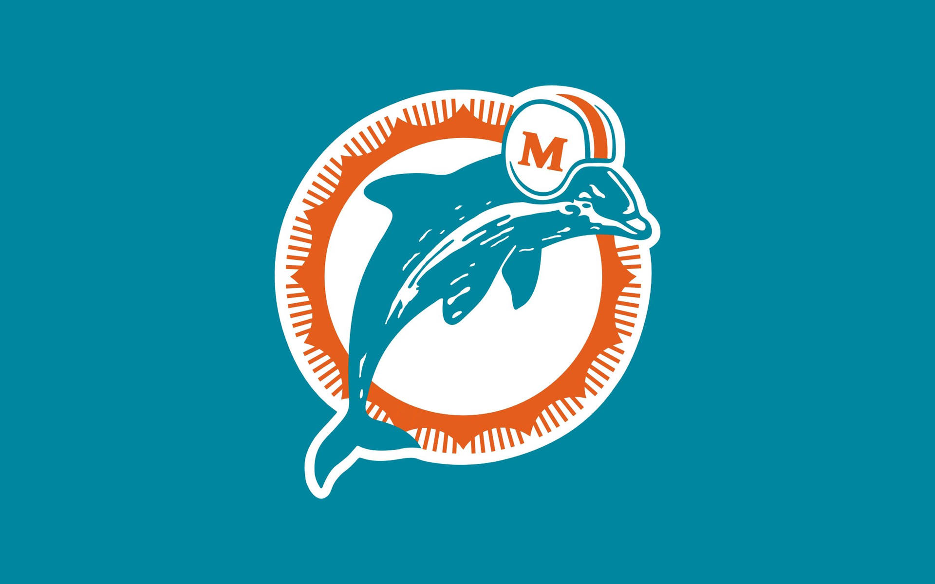2560X1600 Dolphin Wallpaper and Background