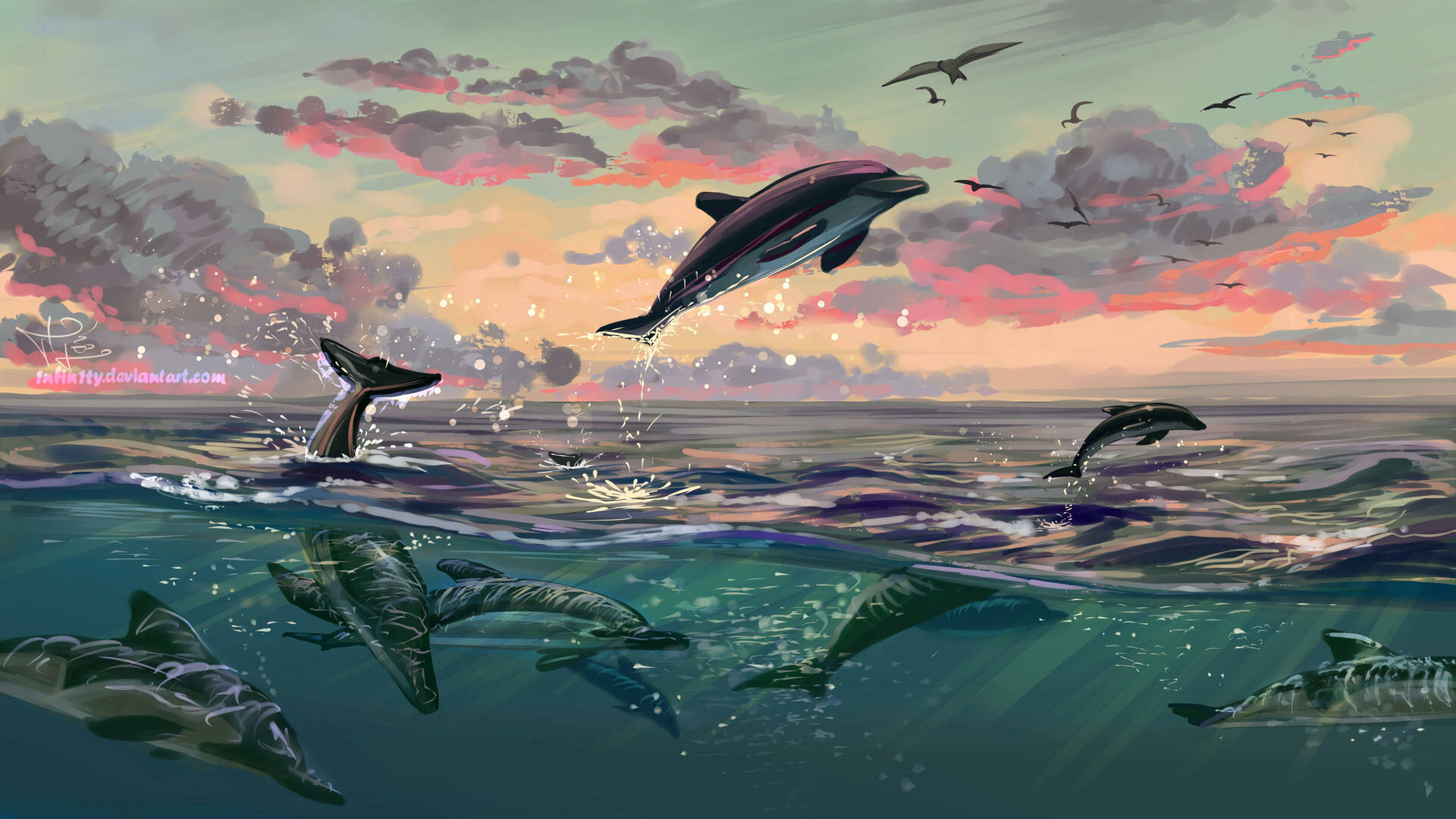 Dolphin 3840X2160 Wallpaper and Background Image