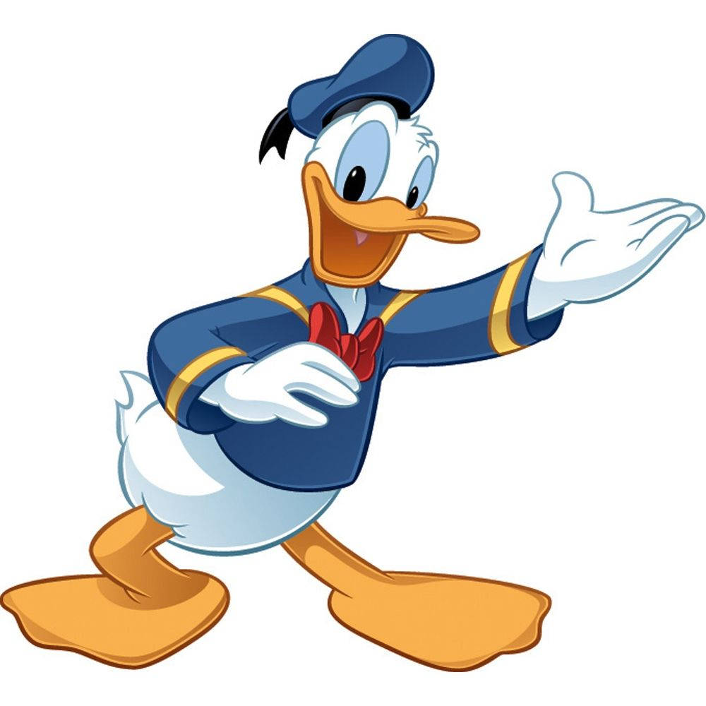 Donald Duck 1000X1000 Wallpaper and Background Image