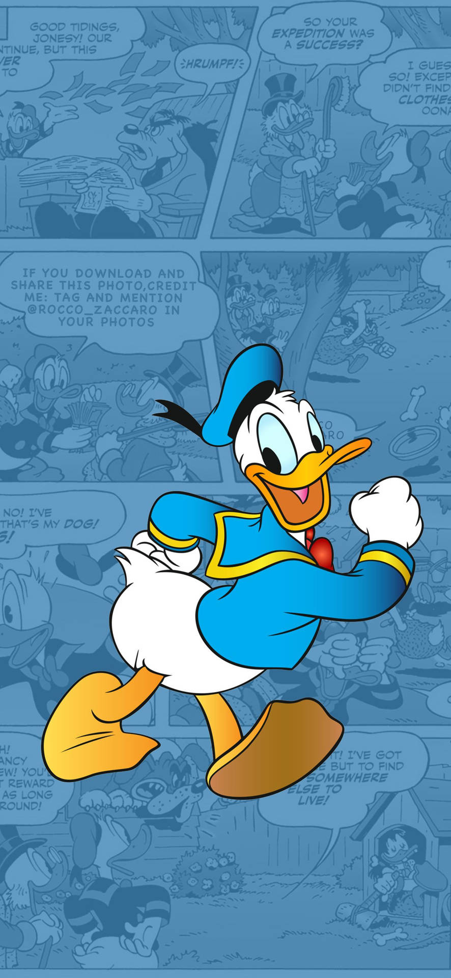 Donald Duck 1301X2820 Wallpaper and Background Image