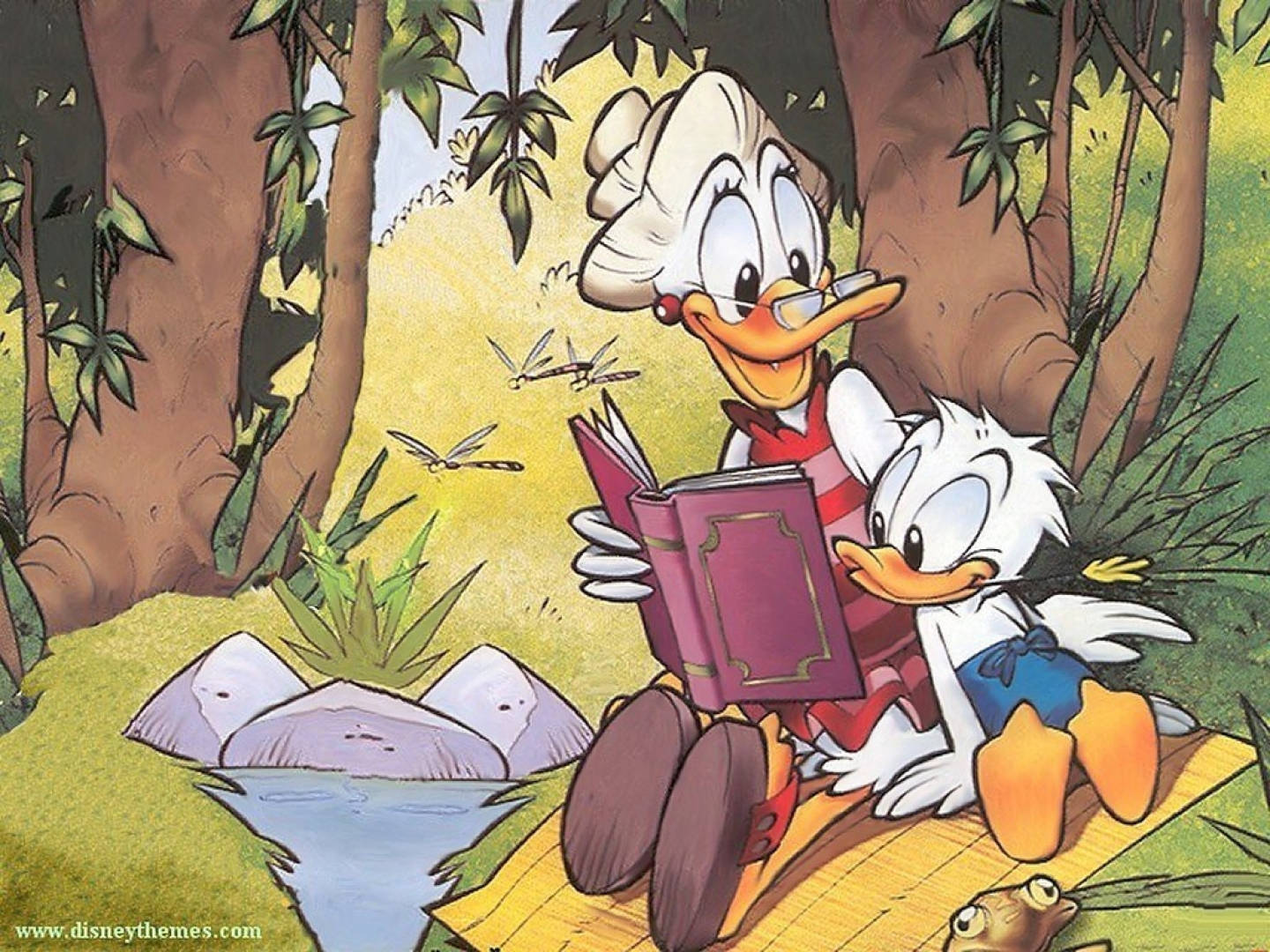 1440X1080 Donald Duck Wallpaper and Background