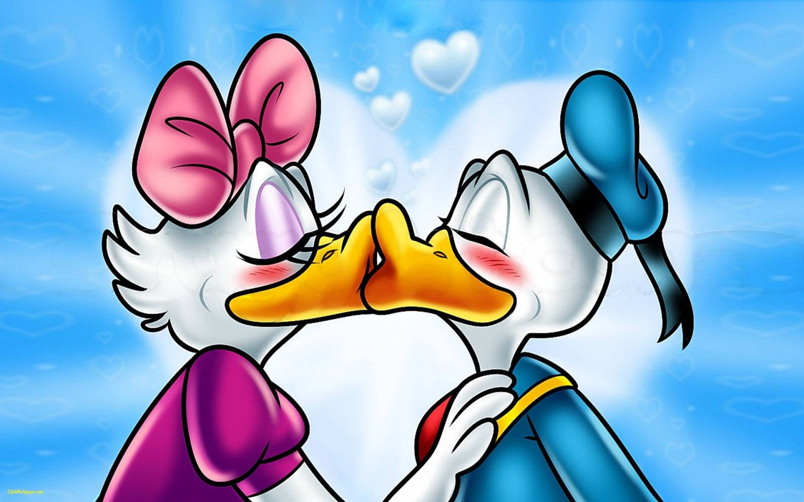 Donald Duck 1600X1000 Wallpaper and Background Image