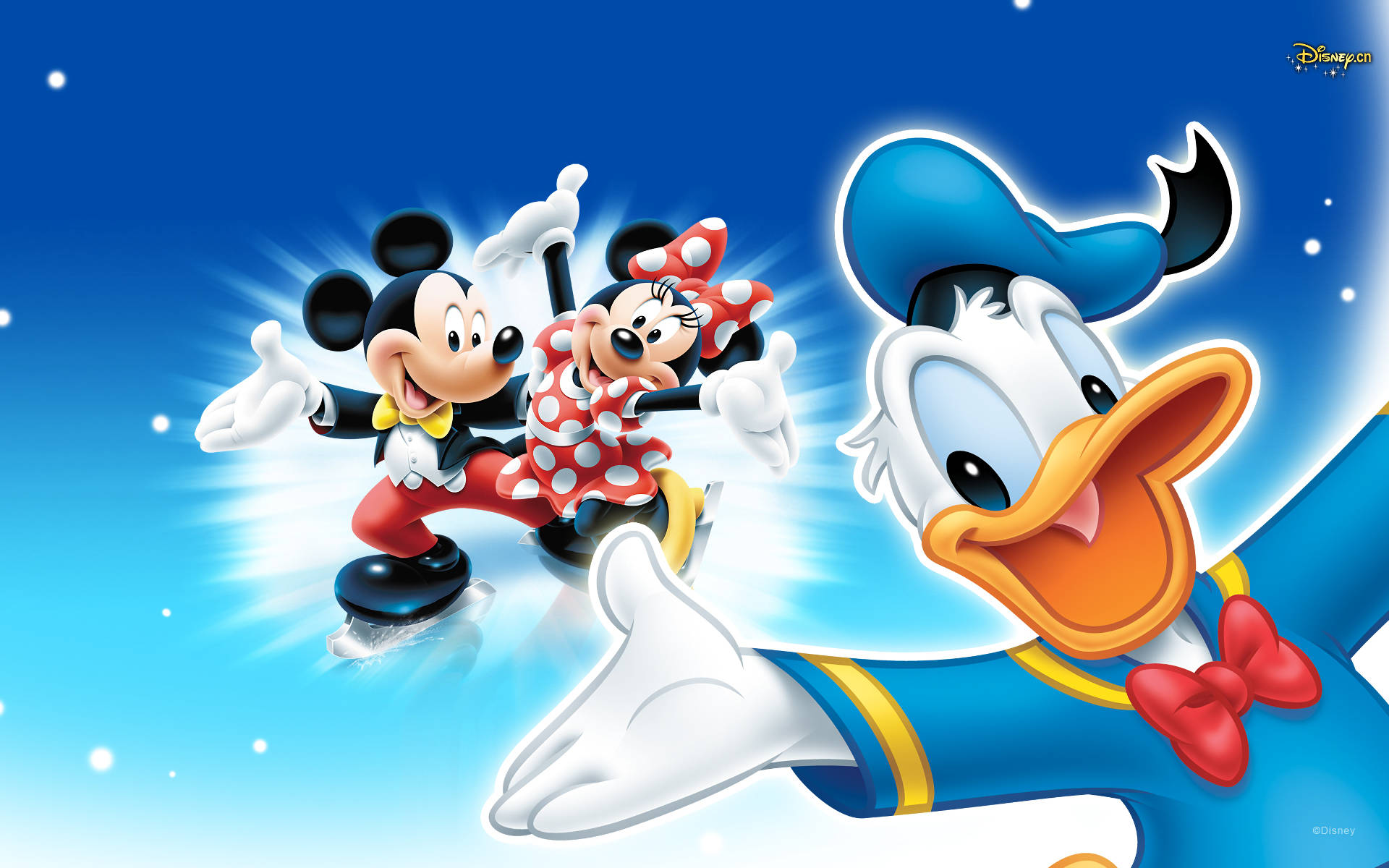Donald Duck 1920X1200 Wallpaper and Background Image