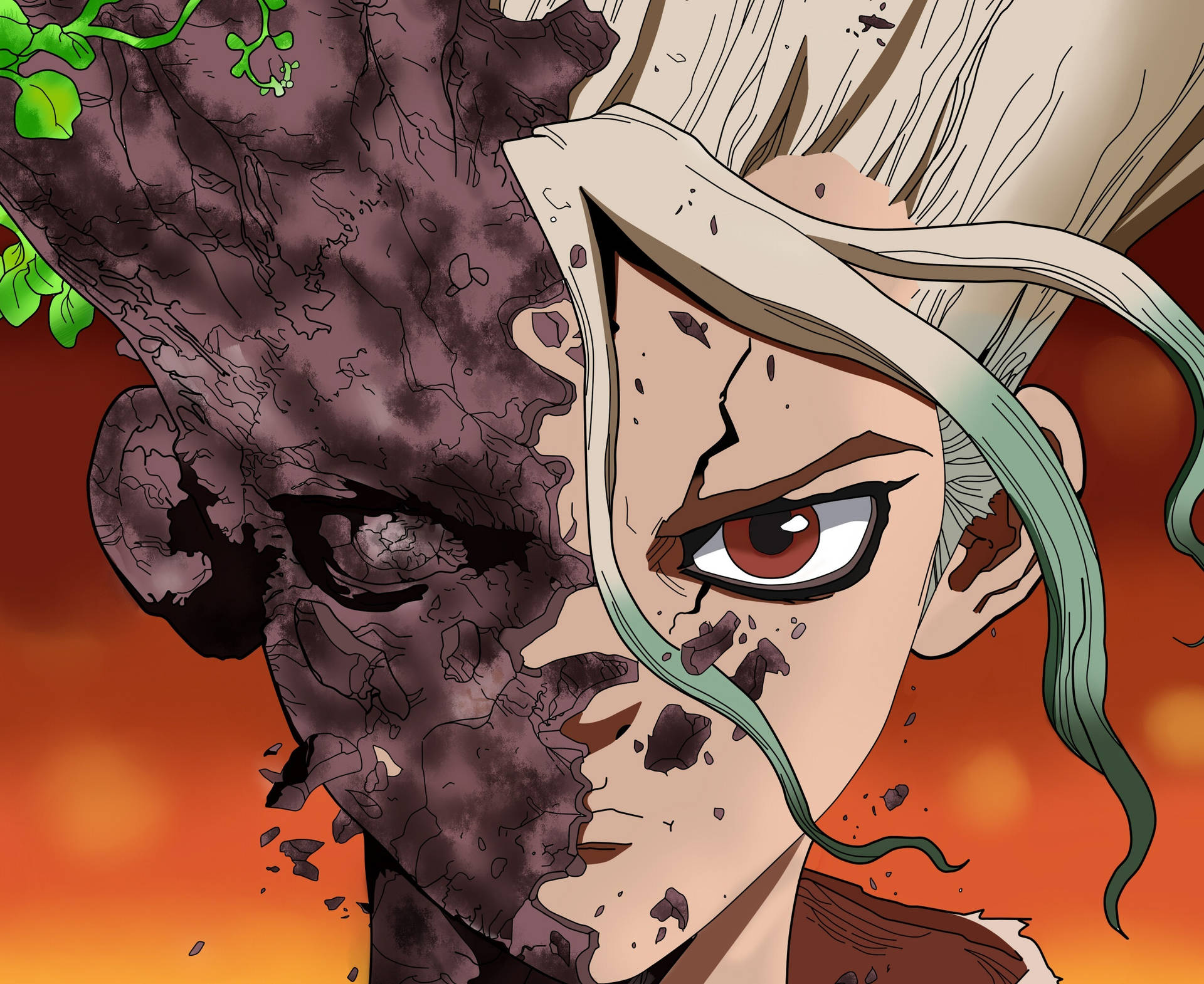 Dr Stone 2480X2028 Wallpaper and Background Image
