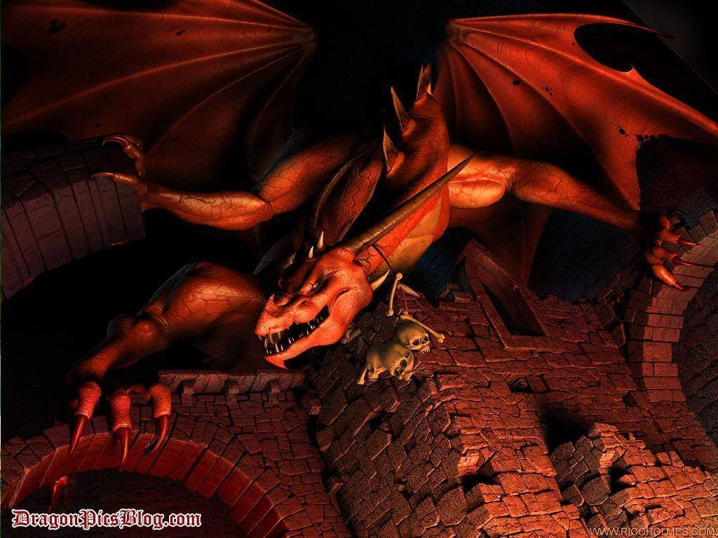 Dragon 1024X768 Wallpaper and Background Image