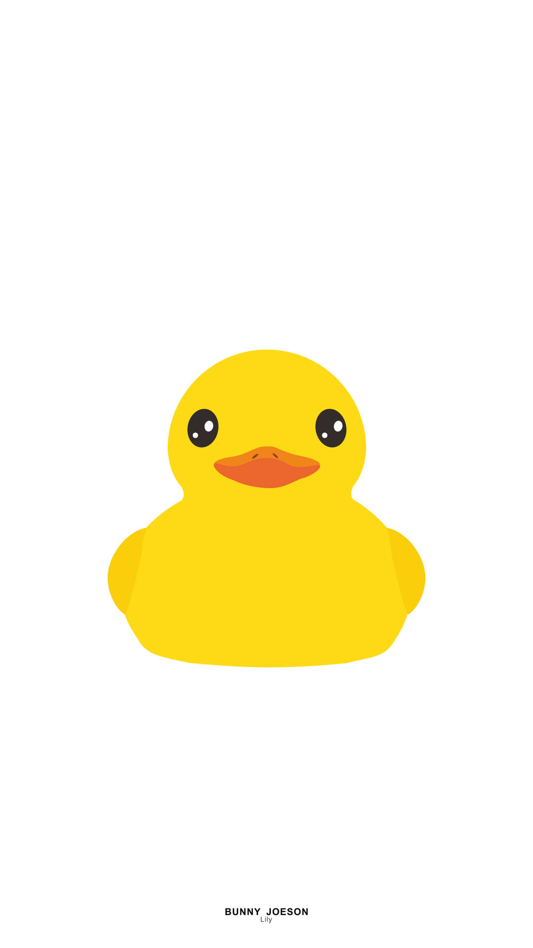 Duck 1440X2560 Wallpaper and Background Image