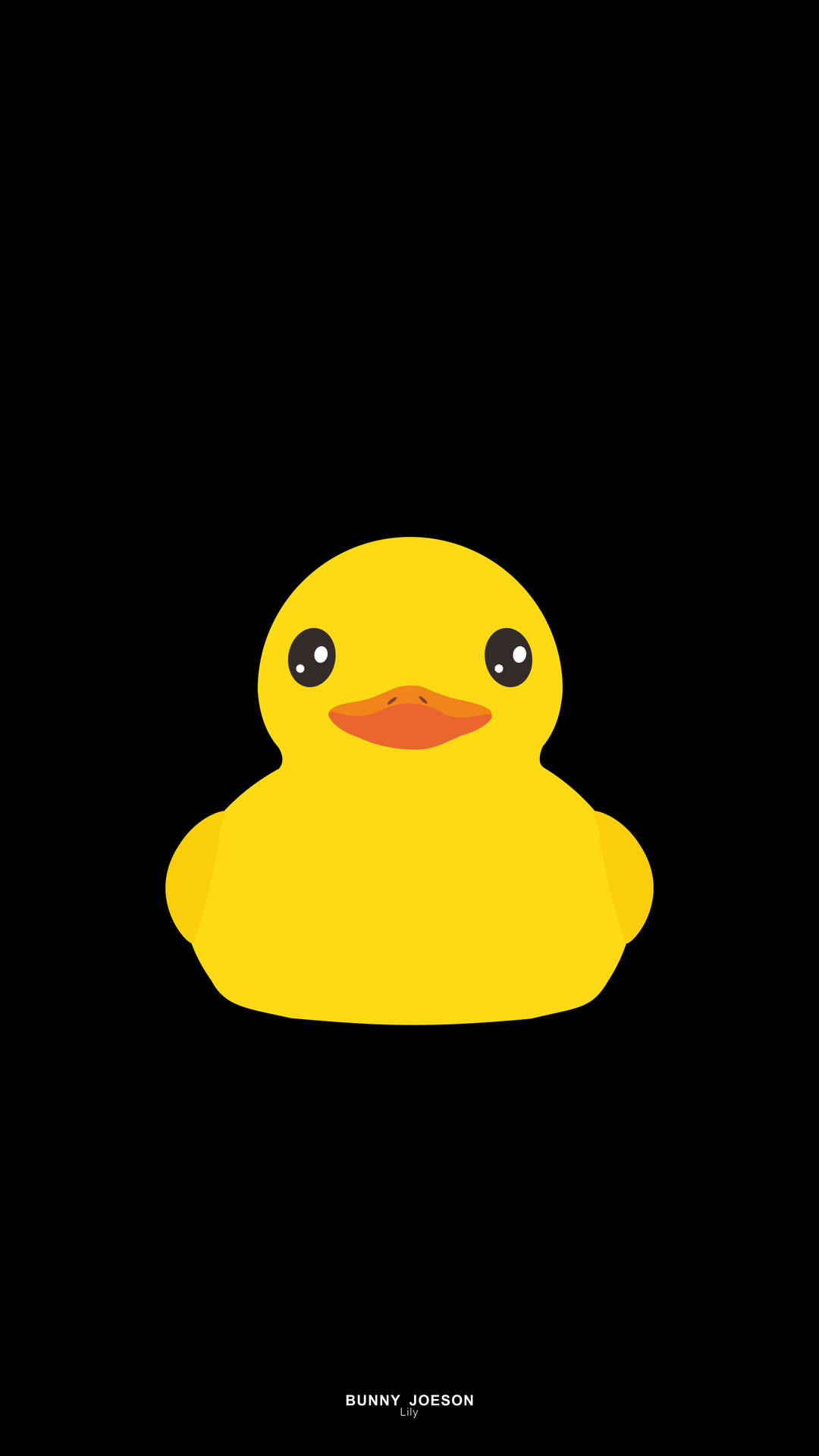 Duck 1440X2560 Wallpaper and Background Image