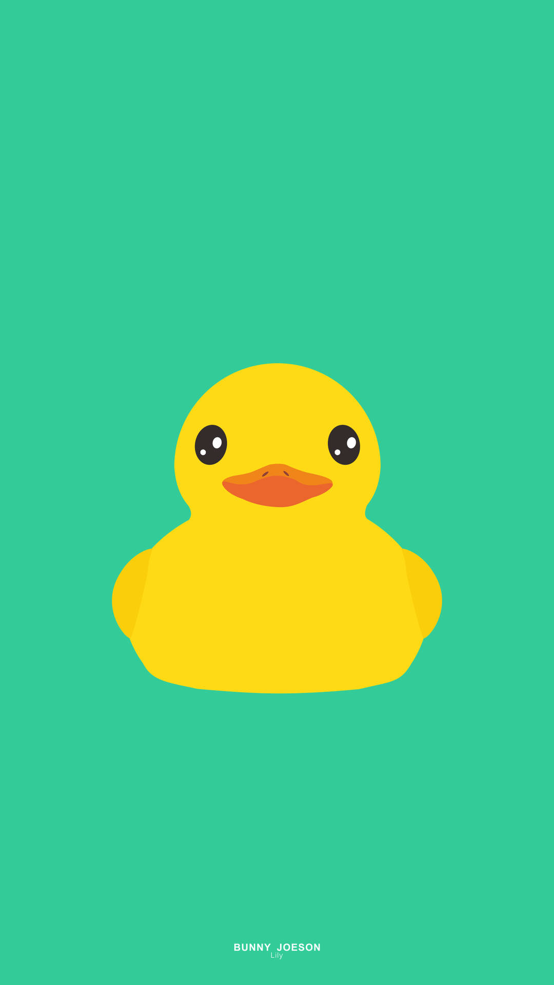 1440X2560 Duck Wallpaper and Background