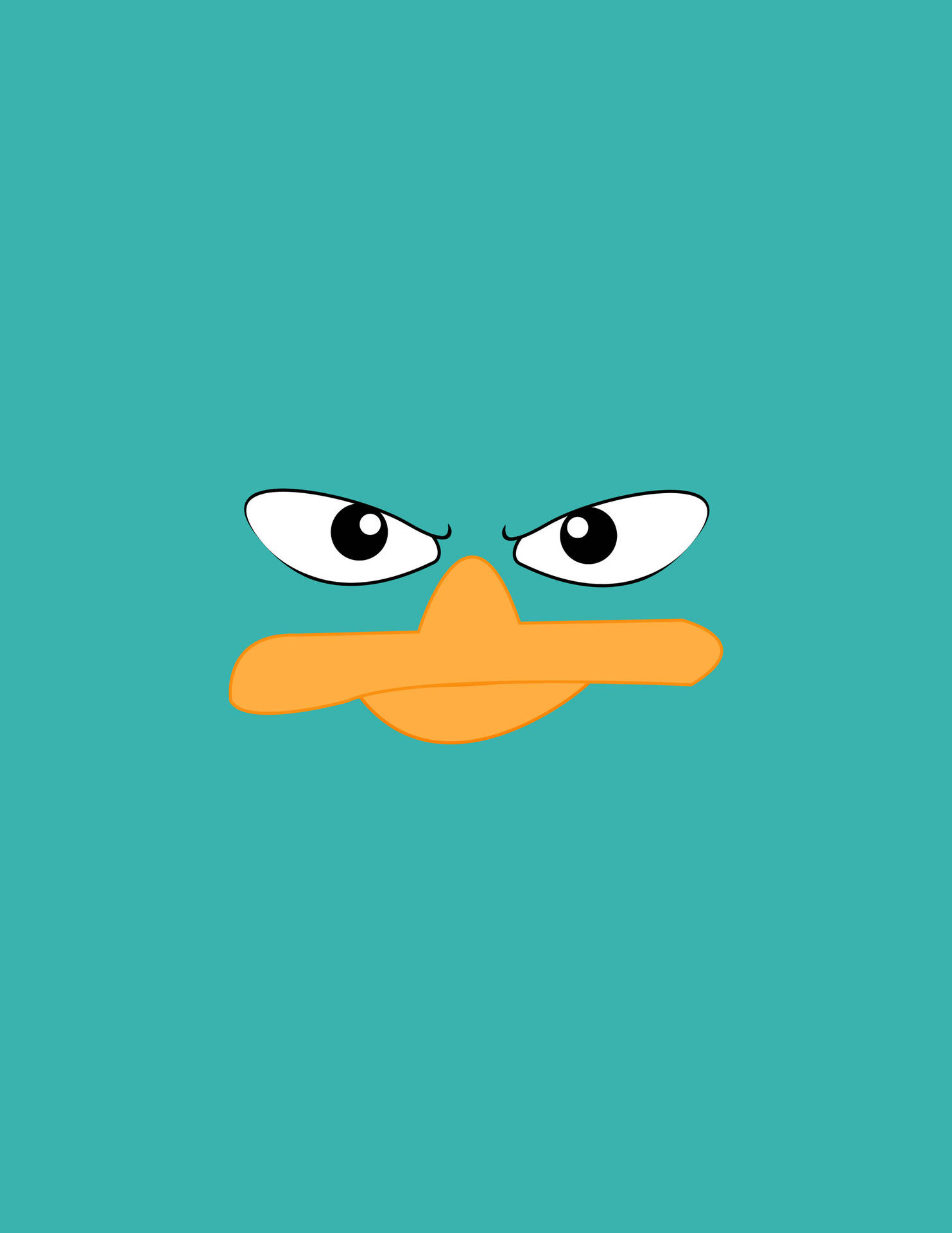 1920X2485 Duck Wallpaper and Background