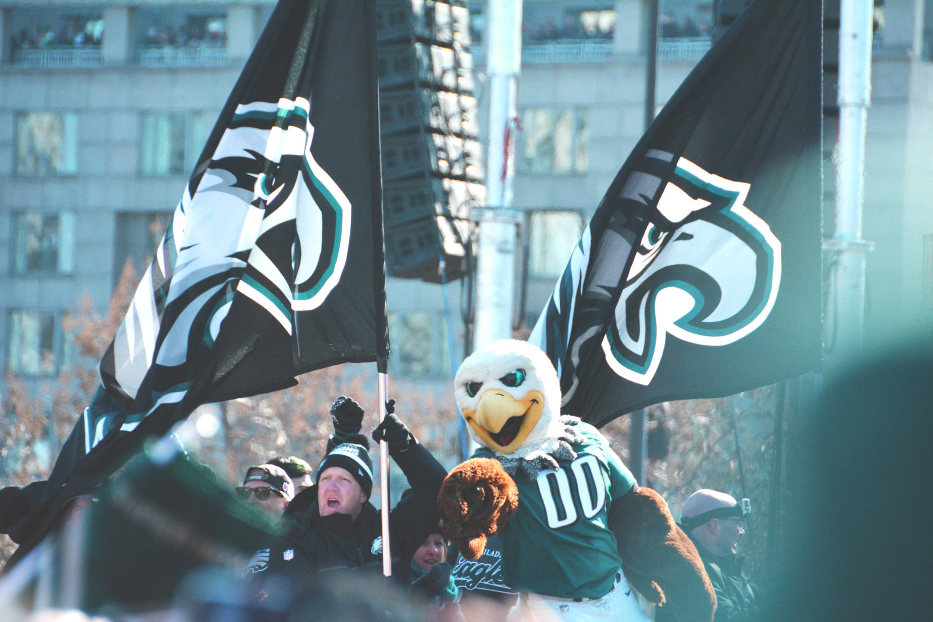 Eagles 6000X4000 Wallpaper and Background Image
