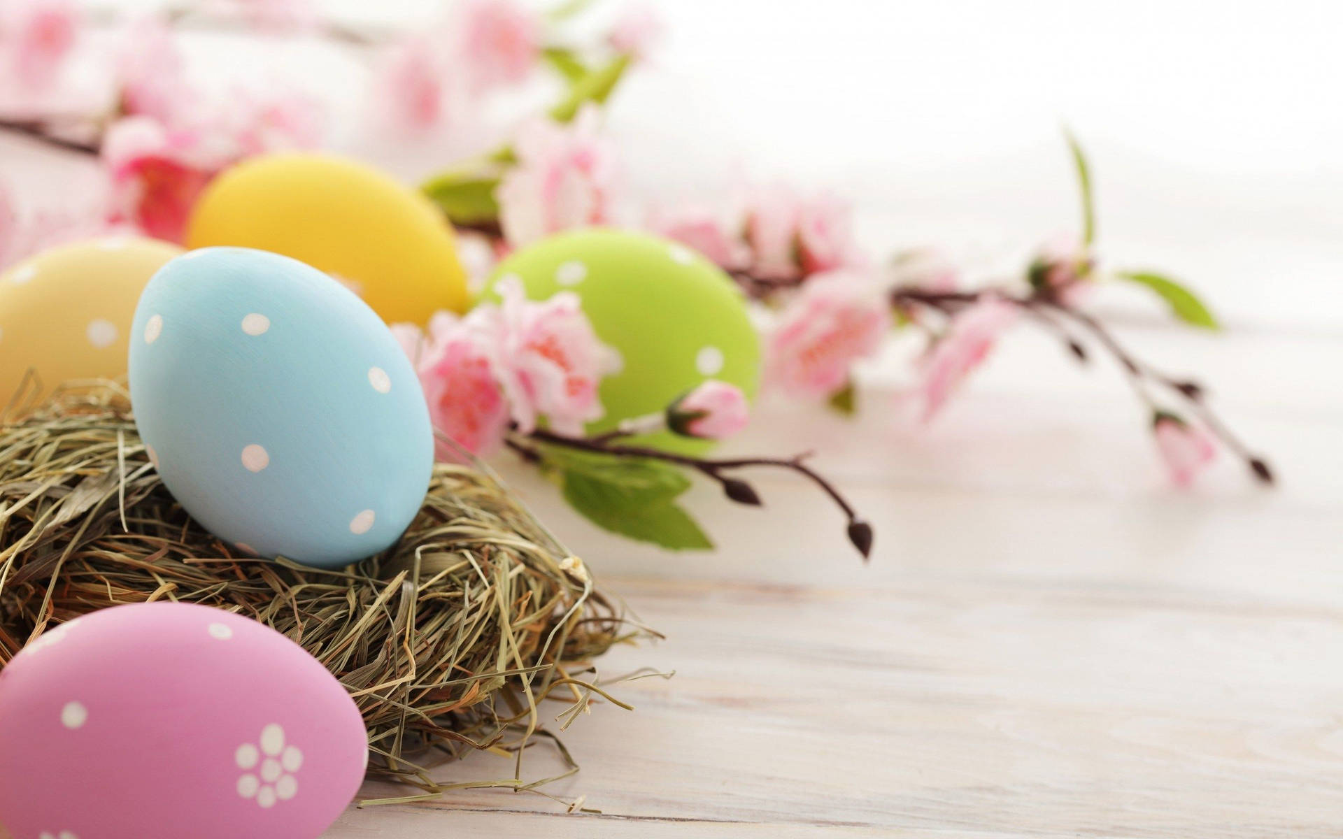 Easter 2560X1600 Wallpaper and Background Image