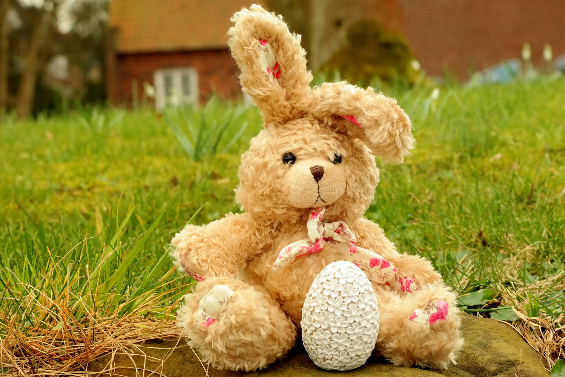 3732X2491 Easter Wallpaper and Background