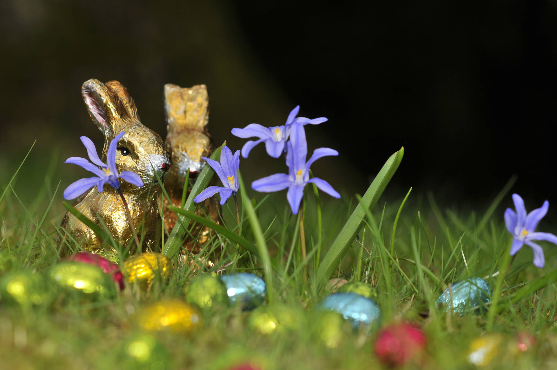 4288X2848 Easter Wallpaper and Background