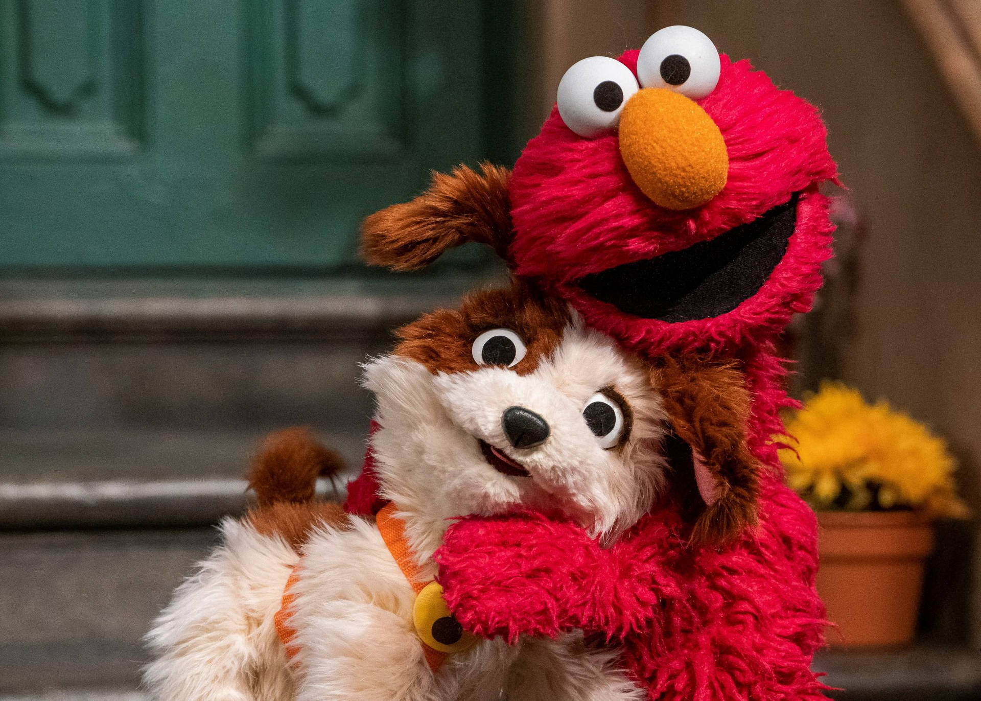 Elmo 2200X1572 Wallpaper and Background Image