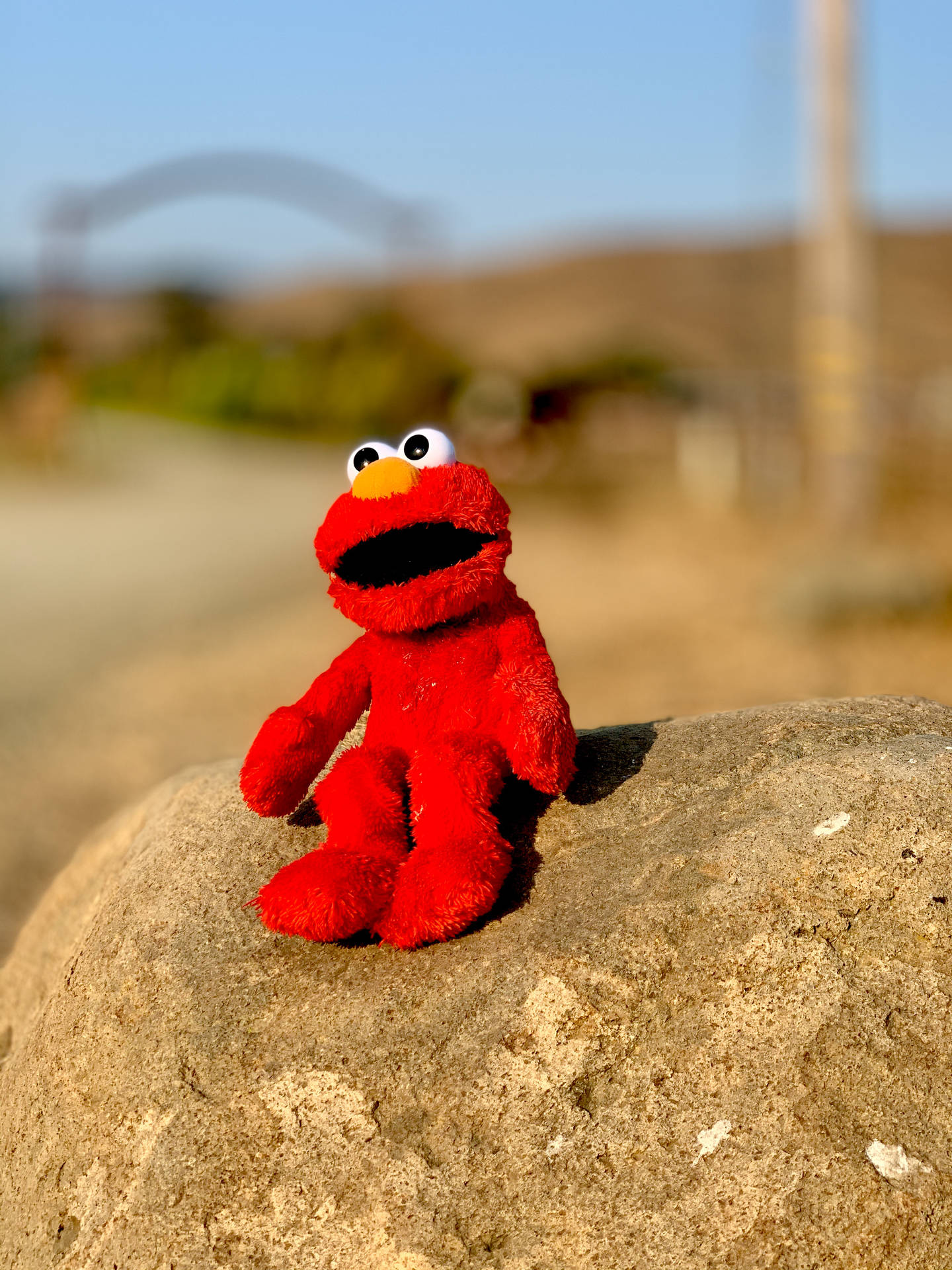 Elmo 3024X4032 Wallpaper and Background Image