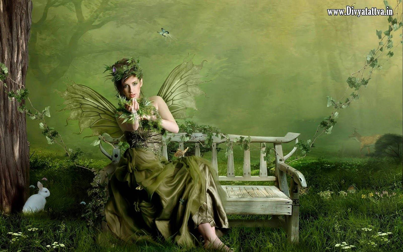 Fairy 1600X1000 Wallpaper and Background Image