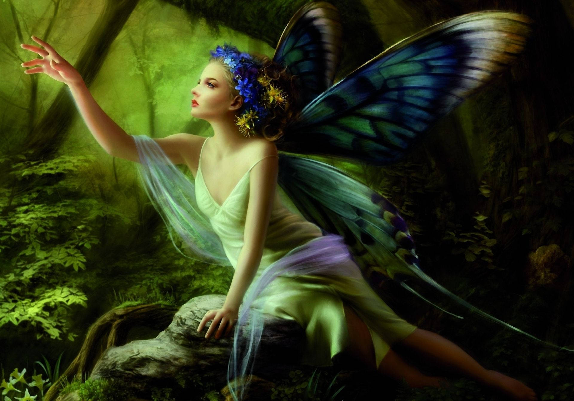 Fairy 1920X1343 Wallpaper and Background Image