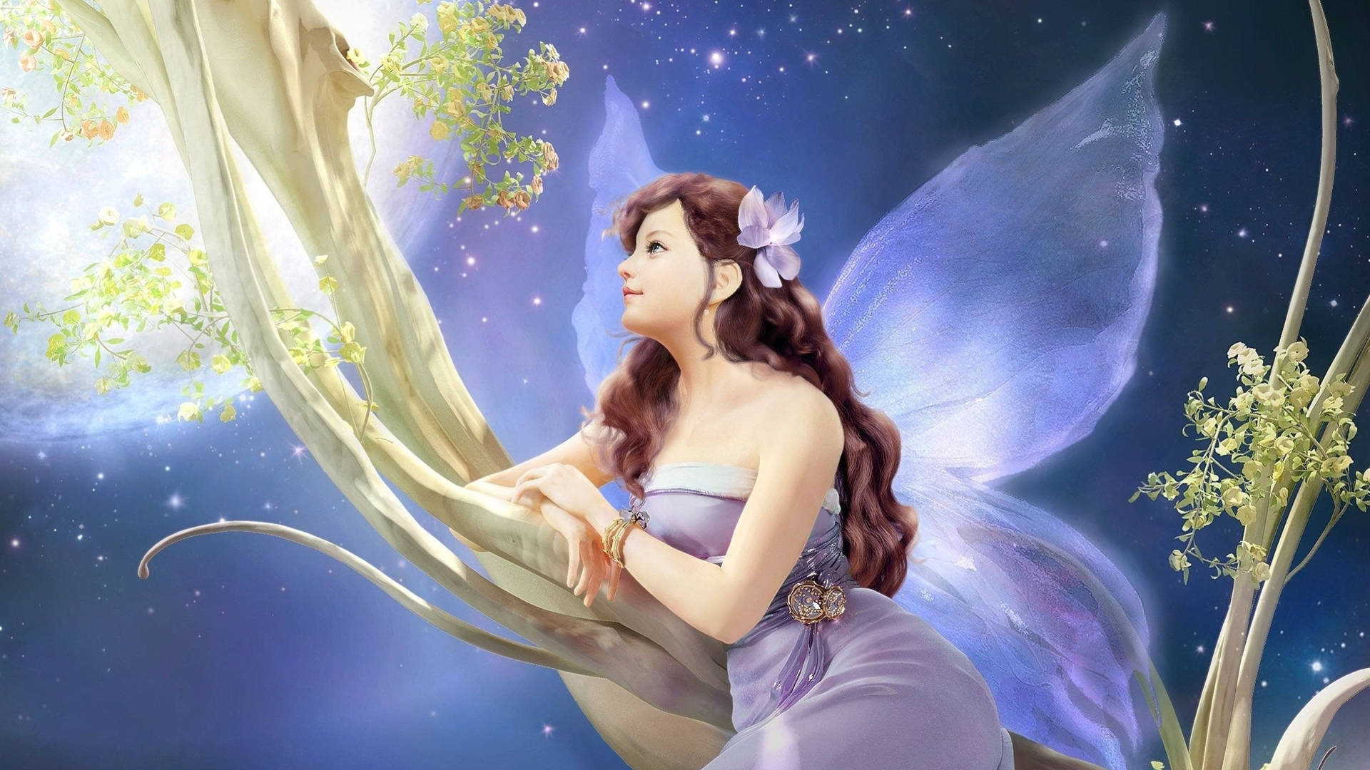 Fairy 2560X1440 Wallpaper and Background Image