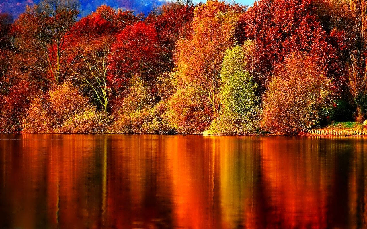 1280X800 Fall Wallpaper and Background