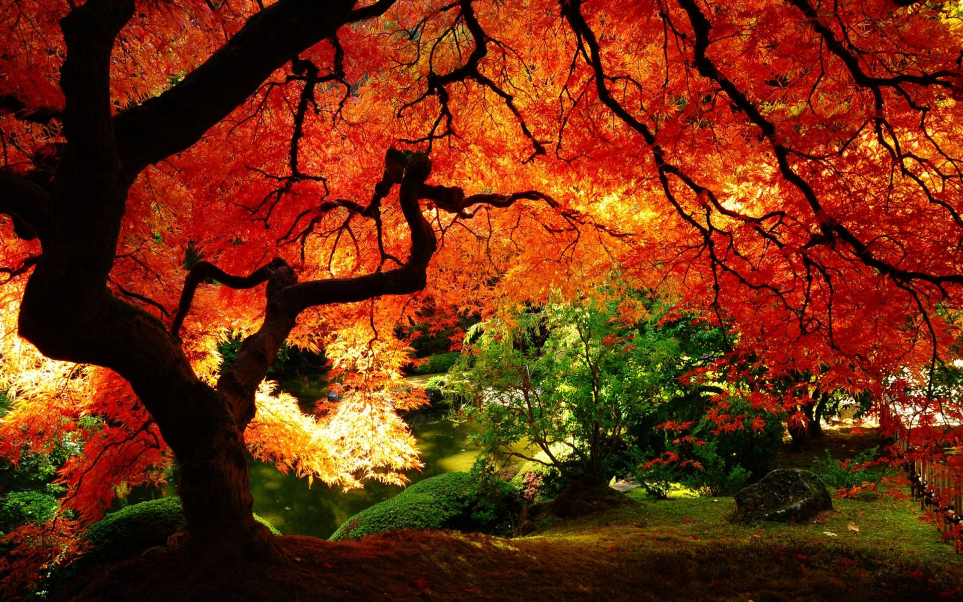 2560X1600 Fall Wallpaper and Background