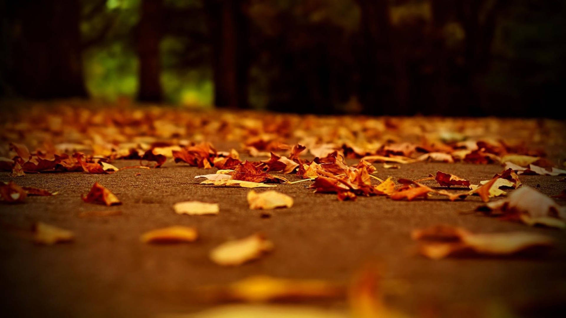 Fall Aesthetic 2000X1125 Wallpaper and Background Image