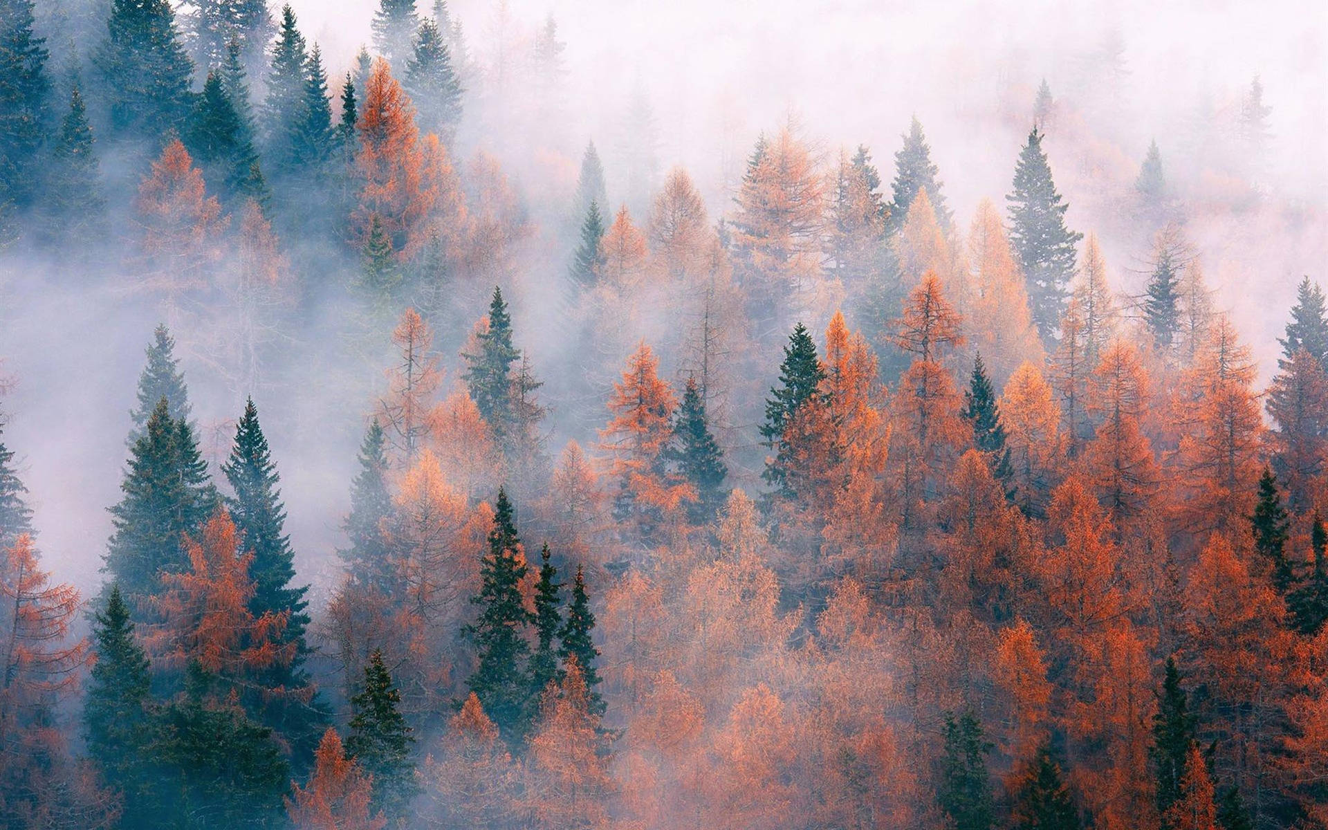 Fall Aesthetic 2048X1280 Wallpaper and Background Image